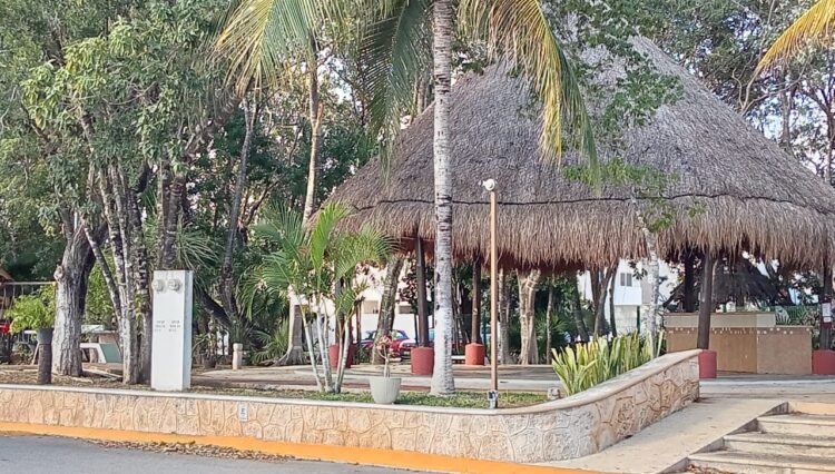 WhatsApp Image 2026-03-03 at 6.46.34 PM