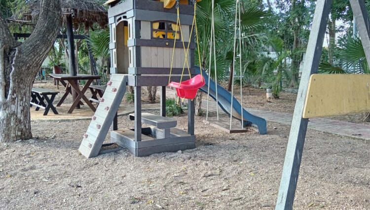 WhatsApp Image 2026-03-03 at 6.46.40 PM (1)