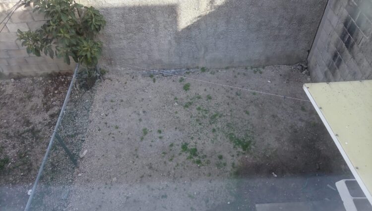 WhatsApp Image 2026-03-03 at 6.47.37 PM