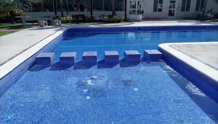 WhatsApp Image 2025-12-27 at 1.19.08 PM (3)