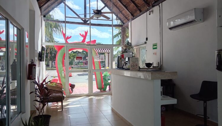 WhatsApp Image 2025-12-27 at 1.19.09 PM (3)