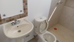 IMG-20241217-WA0013