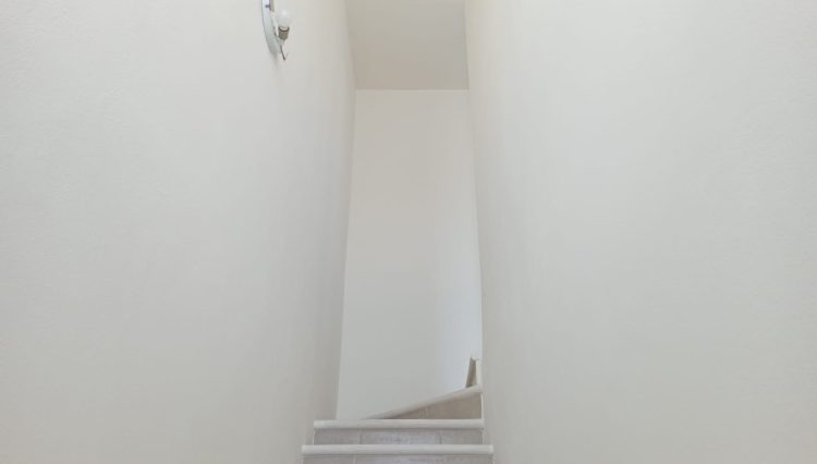 IMG-20241217-WA0016