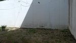 IMG-20241220-WA0027