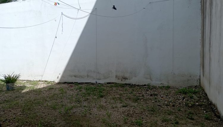 IMG-20241220-WA0027