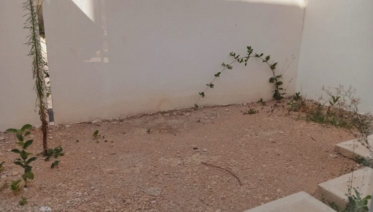IMG-20250512-WA0053