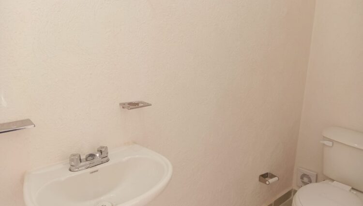 IMG-20250512-WA0055
