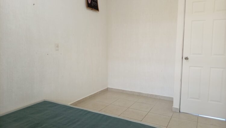 IMG-20251015-WA0052