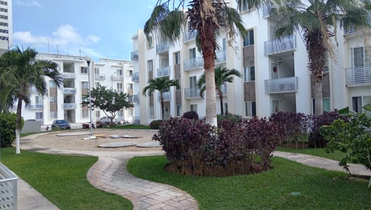 WhatsApp Image 2025-12-27 at 1.12.18 PM (3)