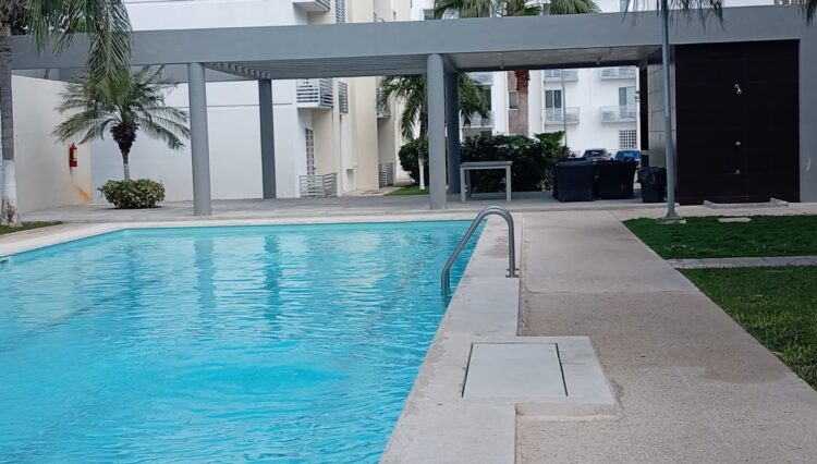 WhatsApp Image 2025-12-27 at 1.12.19 PM (3)