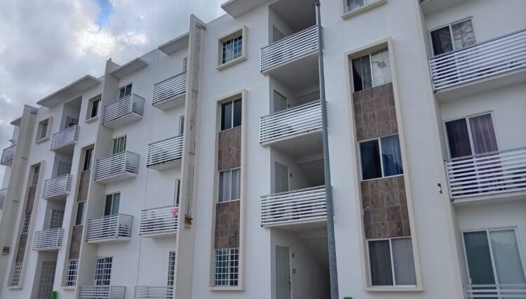 WhatsApp Image 2025-12-27 at 1.12.20 PM (4)