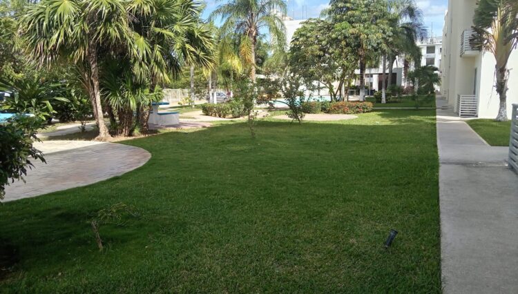 WhatsApp Image 2025-12-27 at 1.12.20 PM