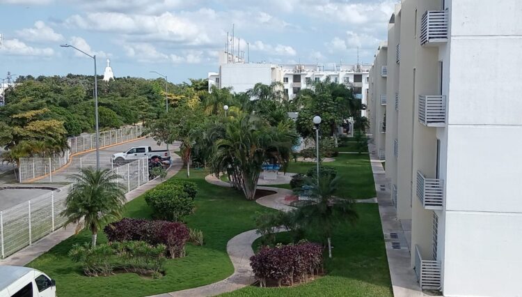 WhatsApp Image 2025-12-27 at 1.15.45 PM (1)