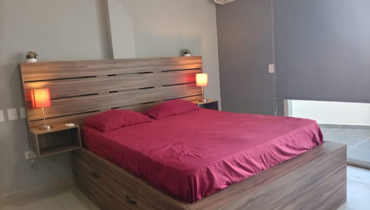 WhatsApp Image 2026-02-20 at 10.47.11 AM