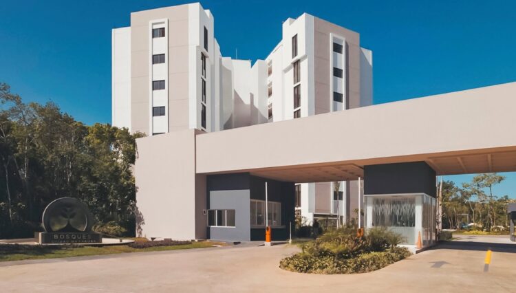 4.ROBLE ENTRADA