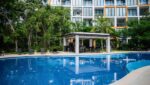 albercaCeiba